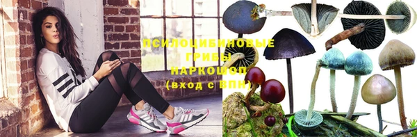 скорость Алексин