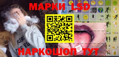 мдпв Камышлов