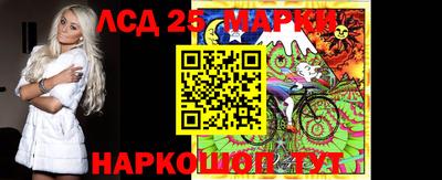 мдпв Камышлов