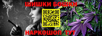 мдпв Камышлов