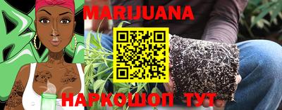 мдпв Камышлов