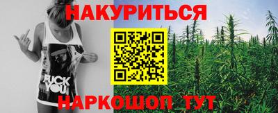 мдпв Камышлов