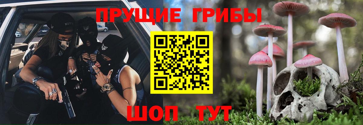 Лениногорск  Псилоцибиновые грибы мухоморы  Вход с VPN 