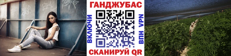 omg tor Лениногорск МАРИХУАНА OG Kush