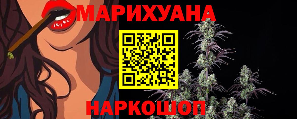Конопля планчик Лениногорск